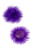 Erolanta Cyndi соблазнительные круглые пэстис с пухом, 5 см (фиолетовый)
