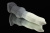 Erasexa силиконовый фаллоимитатор Волк, 25.5х5.1 см