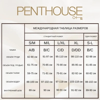 Penthouse Work it out - Комплект эротического белья, XL (черный) 