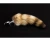 Большая анальная серебристая пробка с пушистым хвостиком, 9 см (серебристый) 
