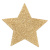 Украшение на грудь Flash Star от Bijoux, (золотистый) 
