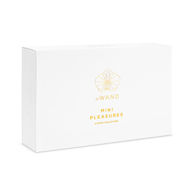 le WAND Mini Pleasures - Компактный набор для удовольствия (серебристый) 