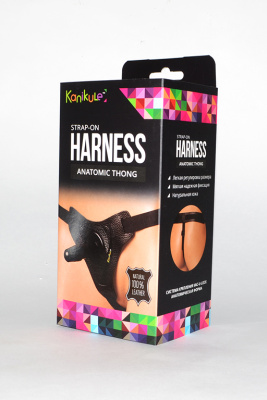 Harness Anatomic Thong vac-u-lock - Kanikule - Удобные трусики для страпона (чёрный) 