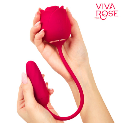 Viva Rose Toys - Виброяйцо и вакуумный стимулятор клитора, 36х2.7 см (розовый)