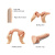Strap-On-Me Sliding Skin Realistic Dildo Vanille S - Фаллоимитатор, 12,8 см (телесный)